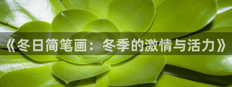新球体育彩票：《冬日简笔画：冬季的激情与活力》