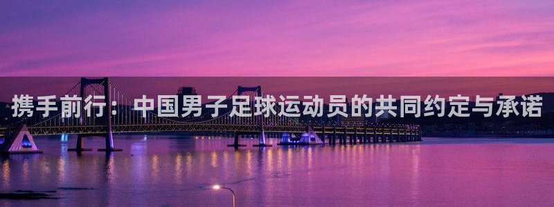 新球体育韩职