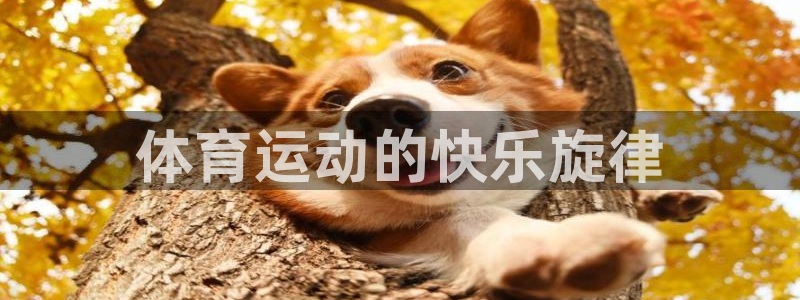新球体育世预赛