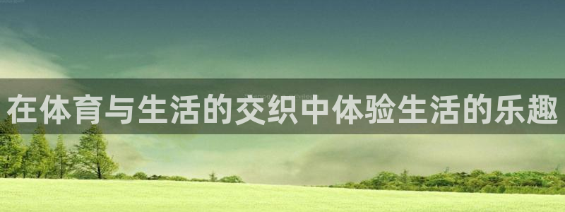 新球体育篮球