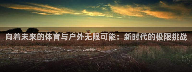 新球体育比分网官网