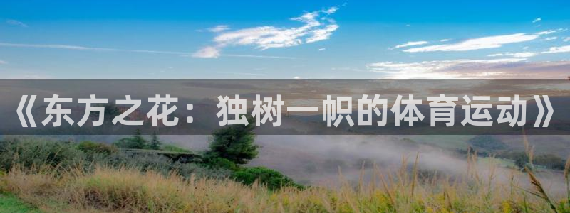 新球体育蓝球比分