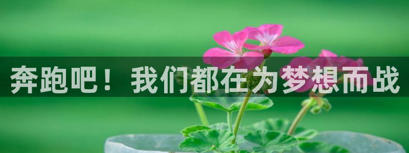 新球体育苹果版：奔跑吧！我们都在为梦想而战