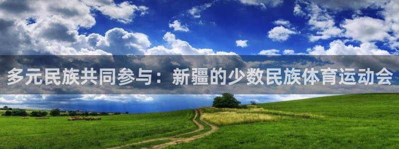 新球体育v猜：多元民族共同参与：新疆的少数民族体育运动会