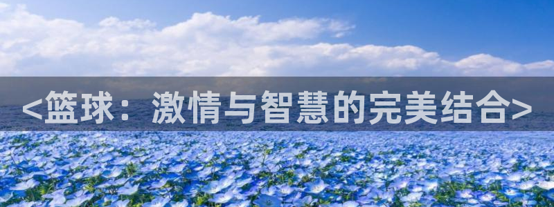 新球体育比分网页版