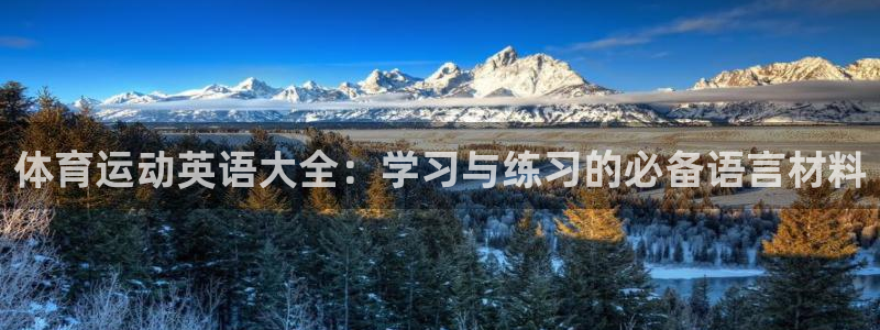 新球体育官网