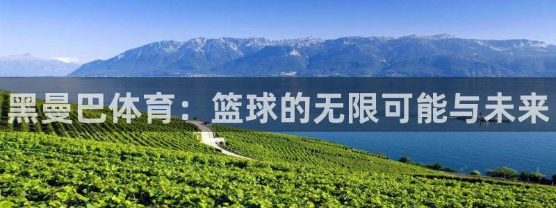 新球体育英超转会