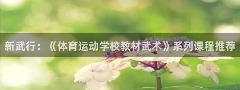 新球体育苹果版