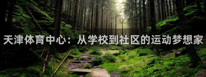 新球体育即时比分入口今早上吉达国