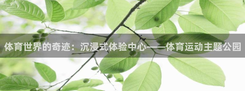 新球体育充值：体育世界的奇迹：沉浸式体验中心——体育运动主题公园